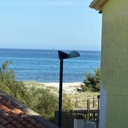 Ombra Dei Pini