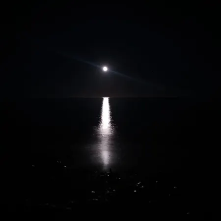 Ombra Dei Pini ラ・カレッタ